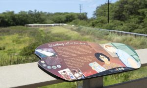 Betty Bliss Memorial Overlook, photo by USFWS