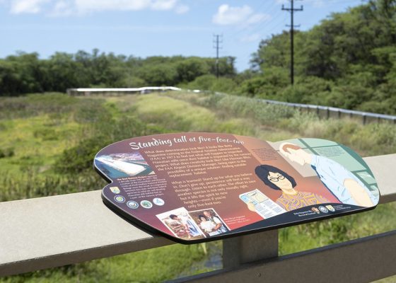 Betty Bliss Memorial Overlook, photo by USFWS