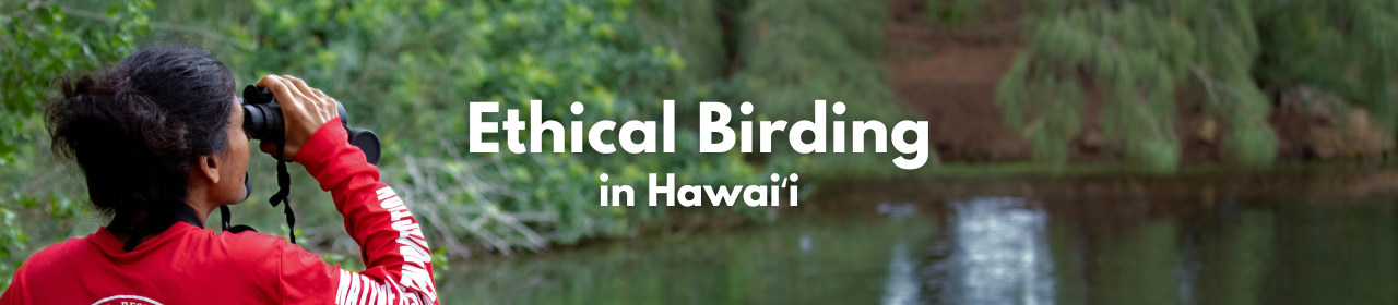 Ethical Birding in Hawaiʻi