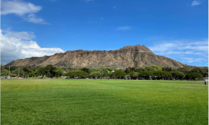 Kapiolani Park, photo courtesy of City and County of Honolulu Dept of Parks and Rec