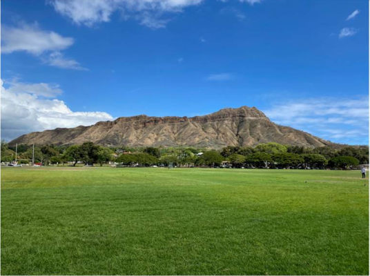 Kapiolani Park, photo courtesy of City and County of Honolulu Dept of Parks and Rec