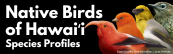 Native Birds of Hawaiʻi